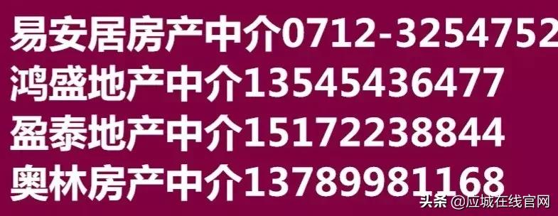 应城新闻今日,2019应城新闻今日头条