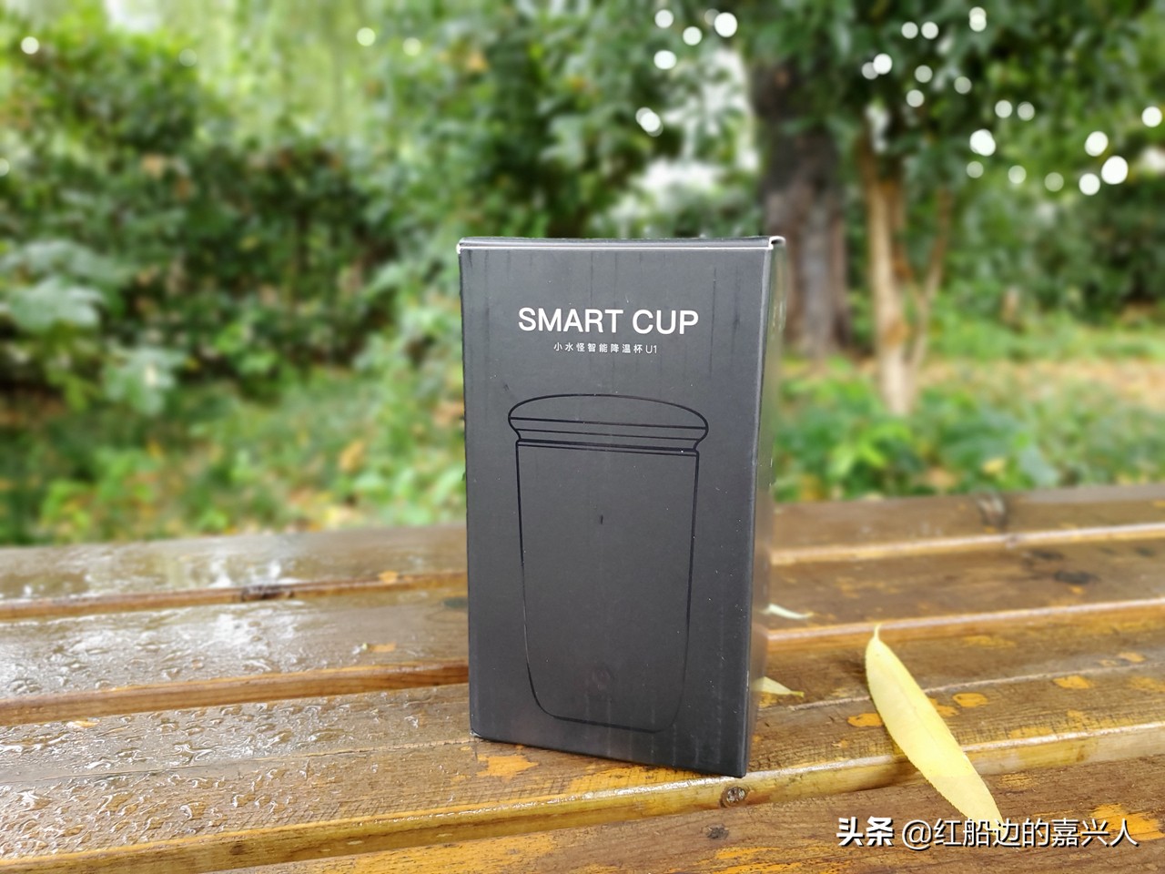 小水怪智能降温杯怎样,摇摇智能降温杯