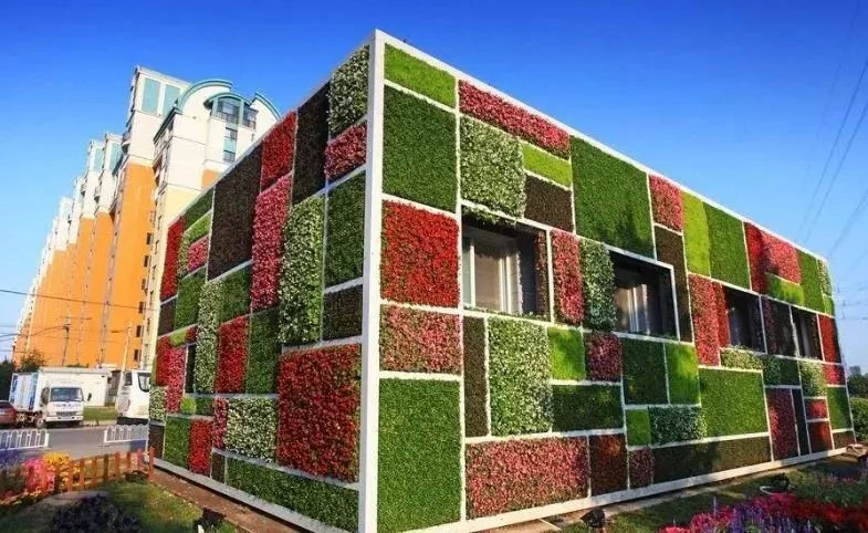 【FENG向】丰台花乡：匠人匠心，八百年打造京城里的″花花世界″