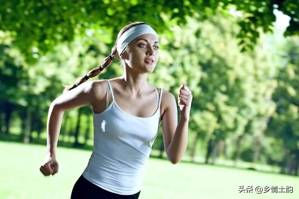 鱼在洋简介,鱼在洋原创动画