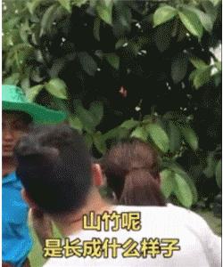 导游走丢了,导游遇见客人走丢了怎么做