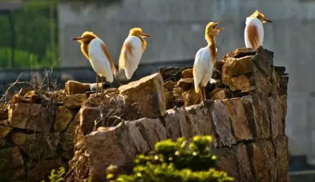 嵊泗花鸟岛夕岛1026民宿,舟山嵊泗岛海景民宿
