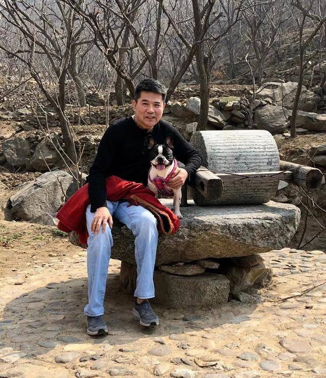 64岁也不生孩子,却花60万克隆爱犬当儿女,孙淳可不是图新鲜