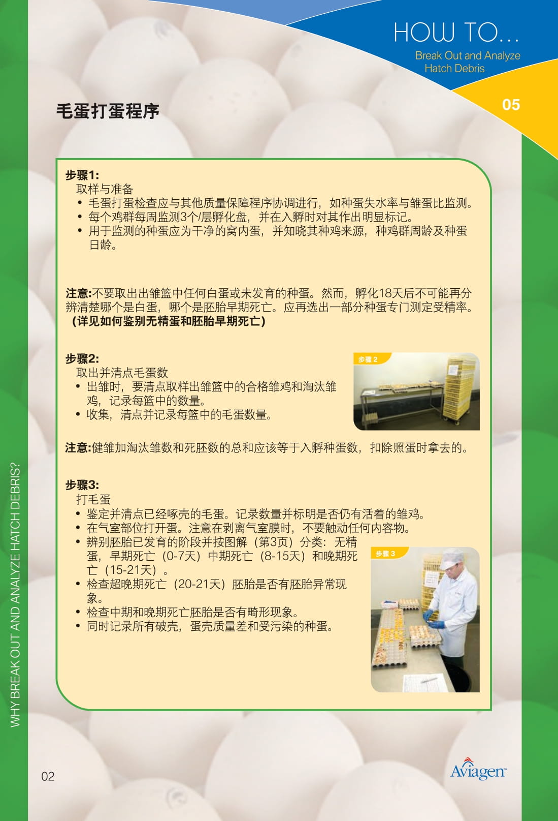 毛蛋做实蛋方法,打蛋怎么做又滑又嫩没气泡