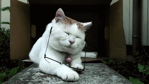 一戴眼镜就感觉有重影,一戴眼镜就头晕眼胀