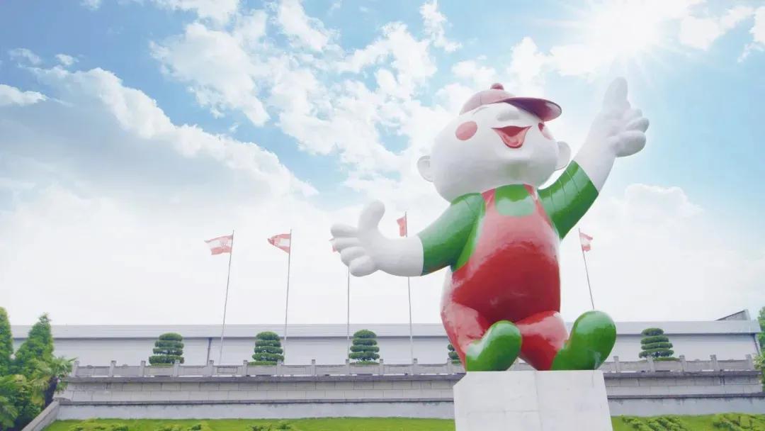 娃哈哈发展过程中存在的机会,娃哈哈的成功和困惑