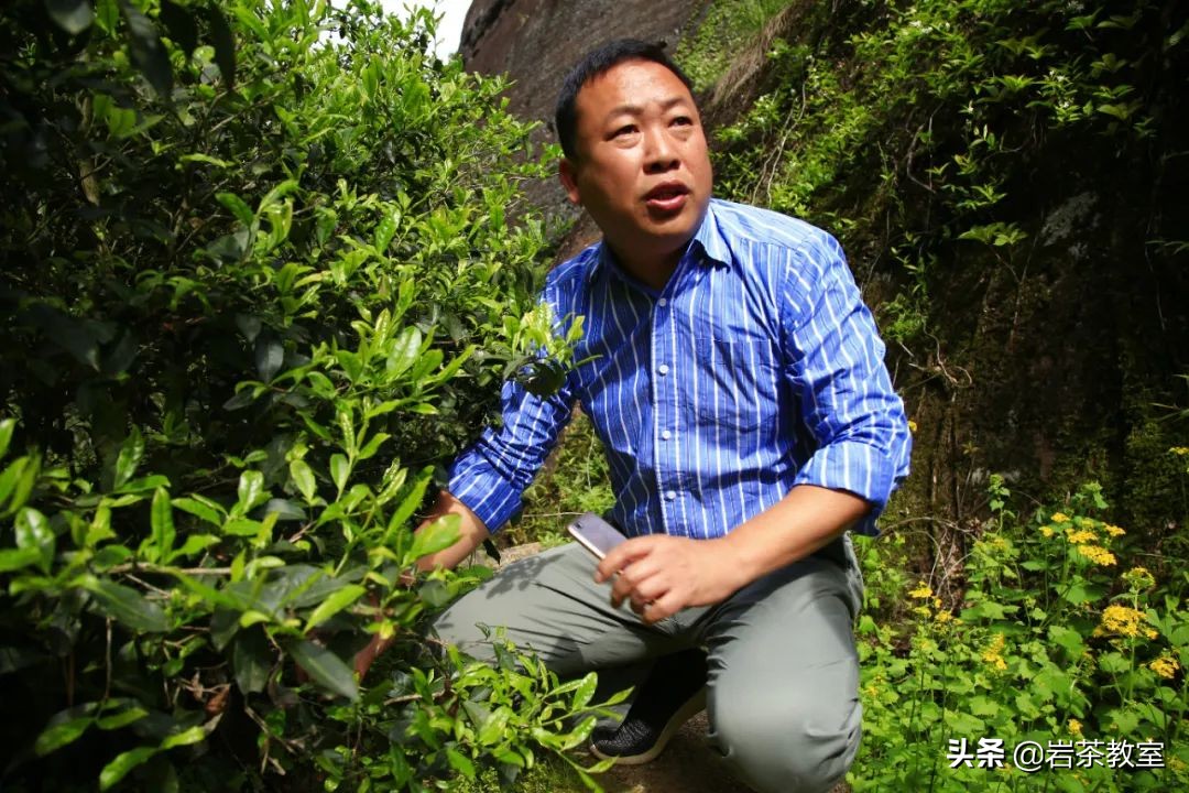 曦瓜鬼洞铁罗汉新老包装区别,曦瓜内鬼洞铁罗汉品鉴