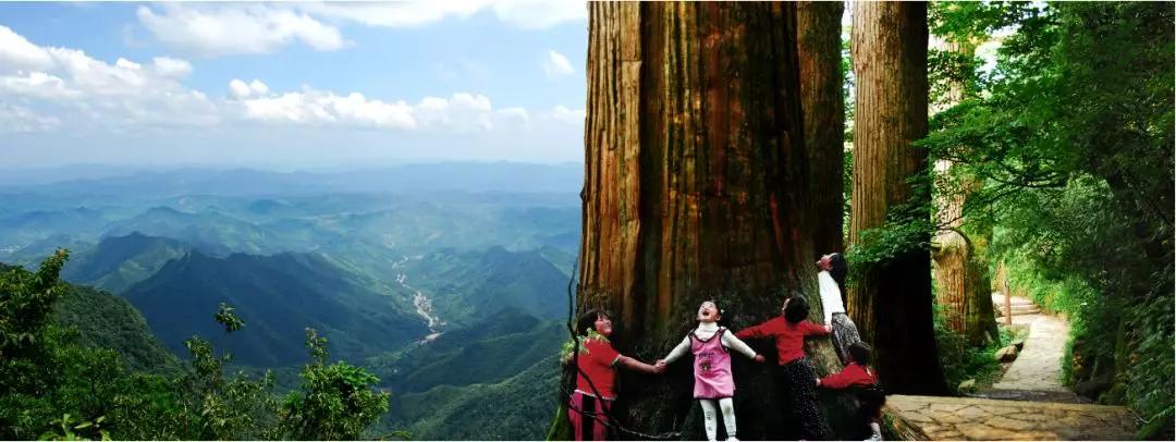 杭州临安城市排名,杭州最具幸福感城市