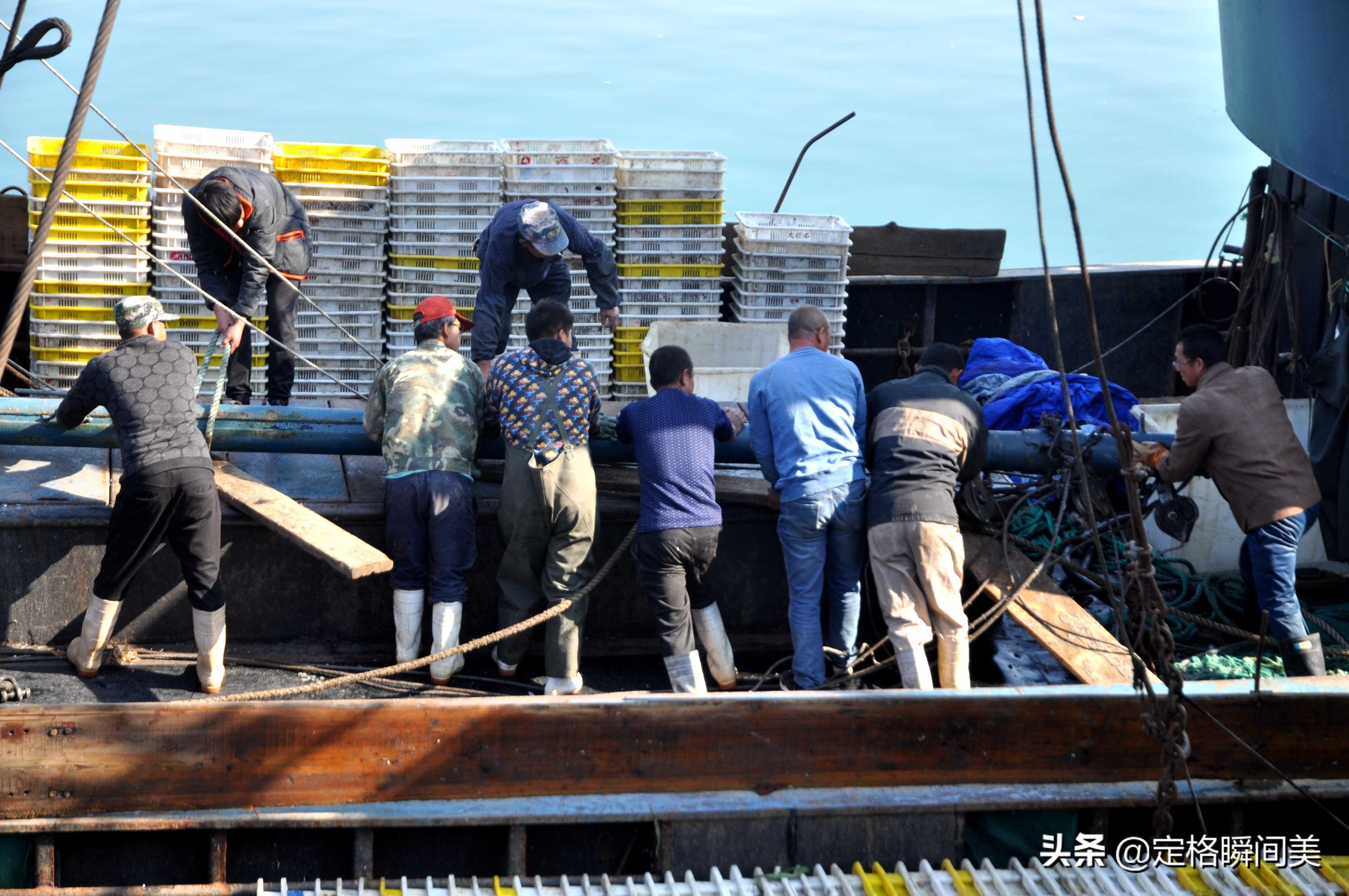 青岛开海海鲜种类,青岛开海后的海鲜价格