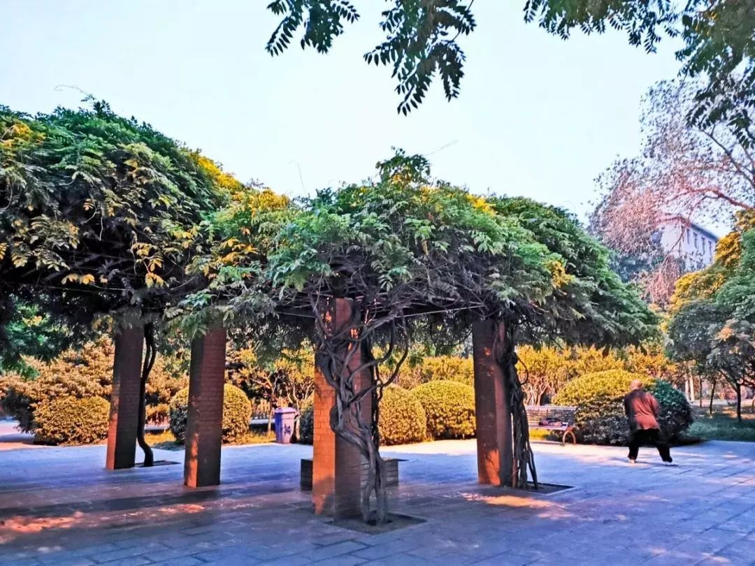 端午节郑州一日游,郑州端午旅游推荐2-3天游