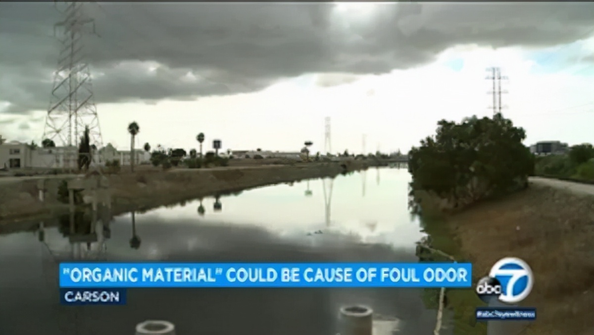 美国多明格斯海峡出现恶臭！居民闻后出现不适，吸入硫化氢咋办？