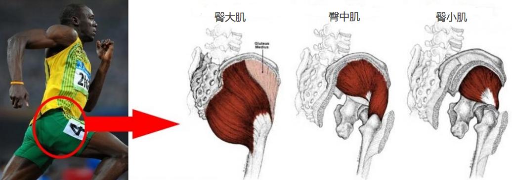 臀腿塑形5个动作拥有迷人臀腿,臀型怎么变假胯宽
