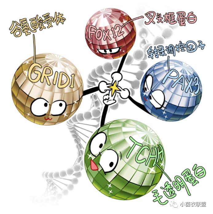 皮肤汗毛科普,皮肤疾病健康科普