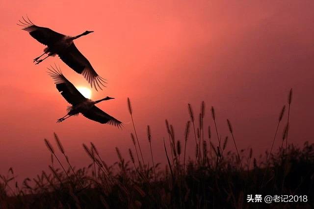 「转」 好听的男孩名字及1000个好听的女孩的名字