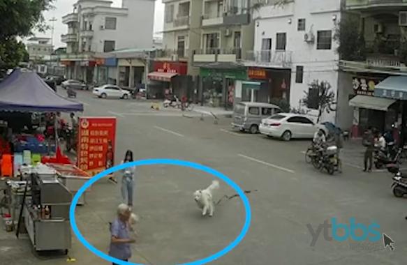 养犬不规范伤人,养犬不规范扰民伤和气