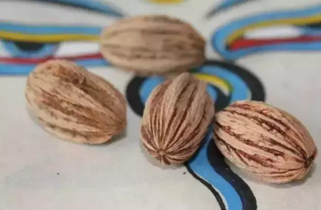 最全的菩提子图解太美了,最好的菩提子