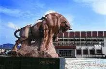 法硕非法本择校指南,法硕最佳择校指南