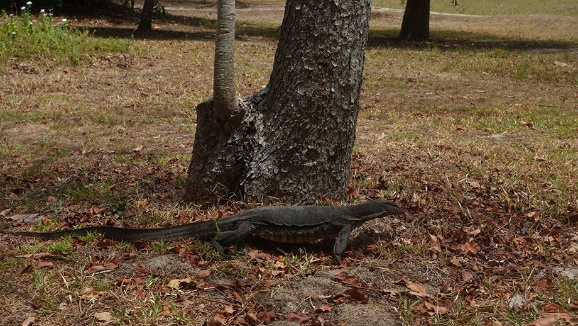 沙巴攻略详细介绍 (沙巴8天攻略)