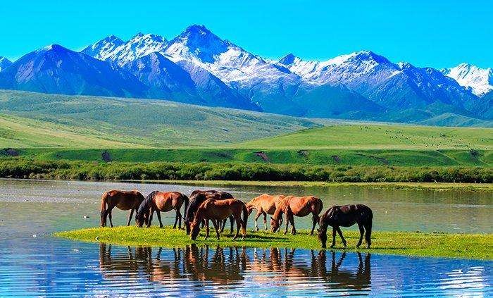 张掖的房价现在是降了还是涨了,张掖房价为什么比武威低