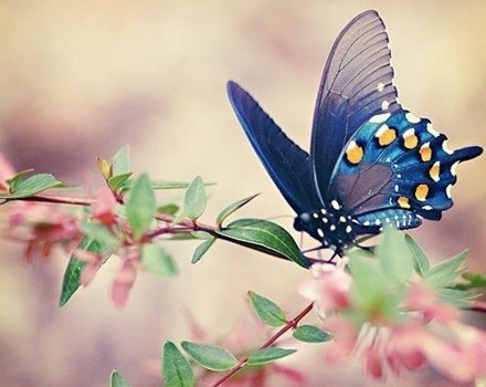 从磁带到cd到mp3周杰伦,从录音带到光盘到u盘