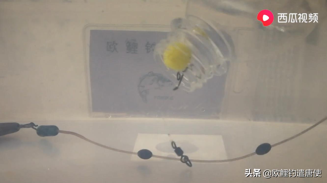 有哪些基础钓法初学者要学会,新手最稳妥的一种钓法