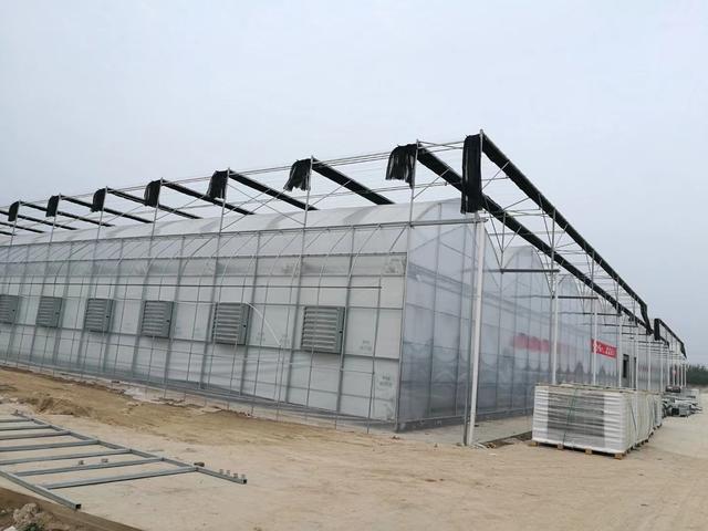 目前温室大棚的缺点,温室大棚如何发展