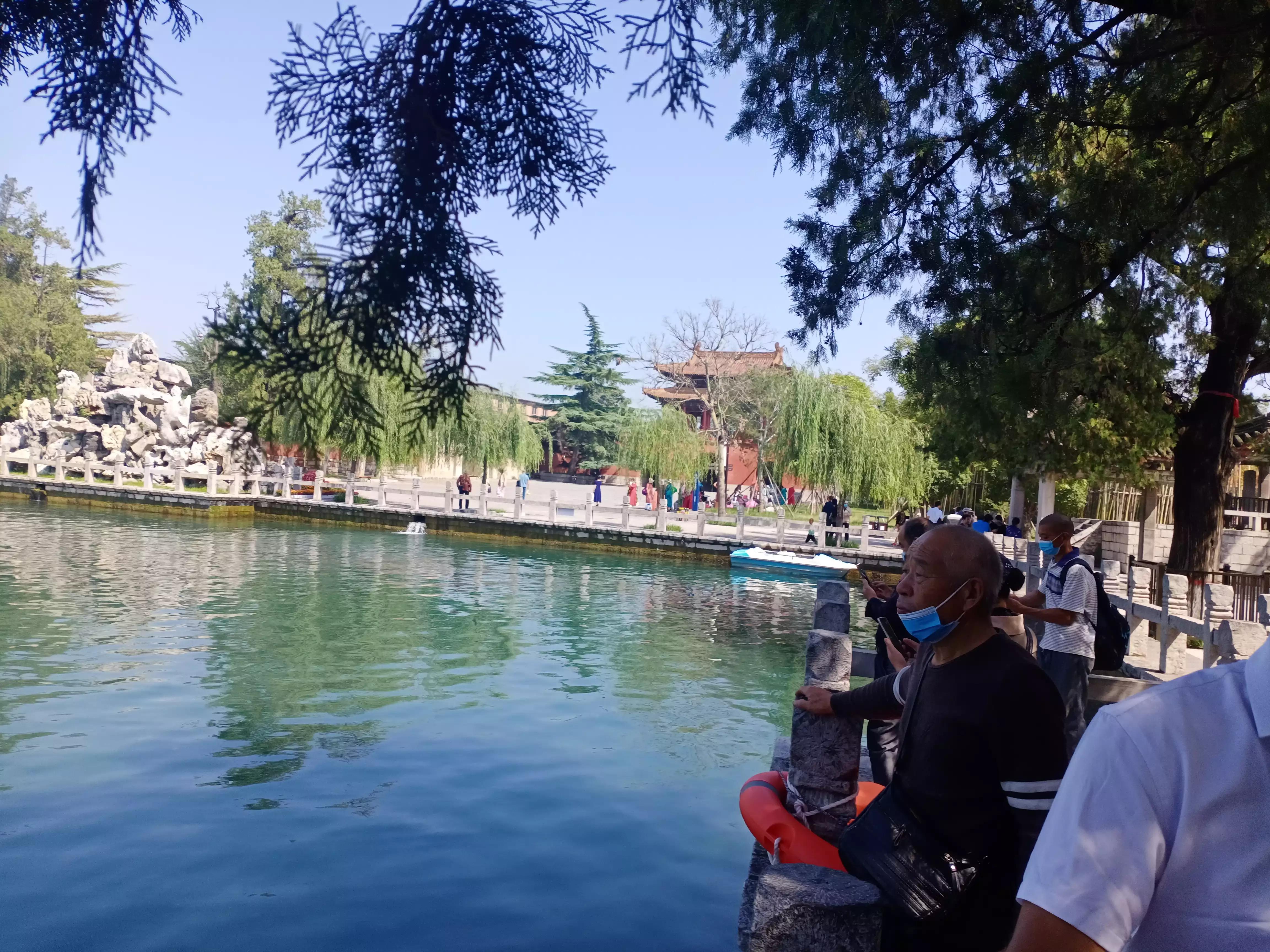 寻母路弯弯,小说连载二借腹生子