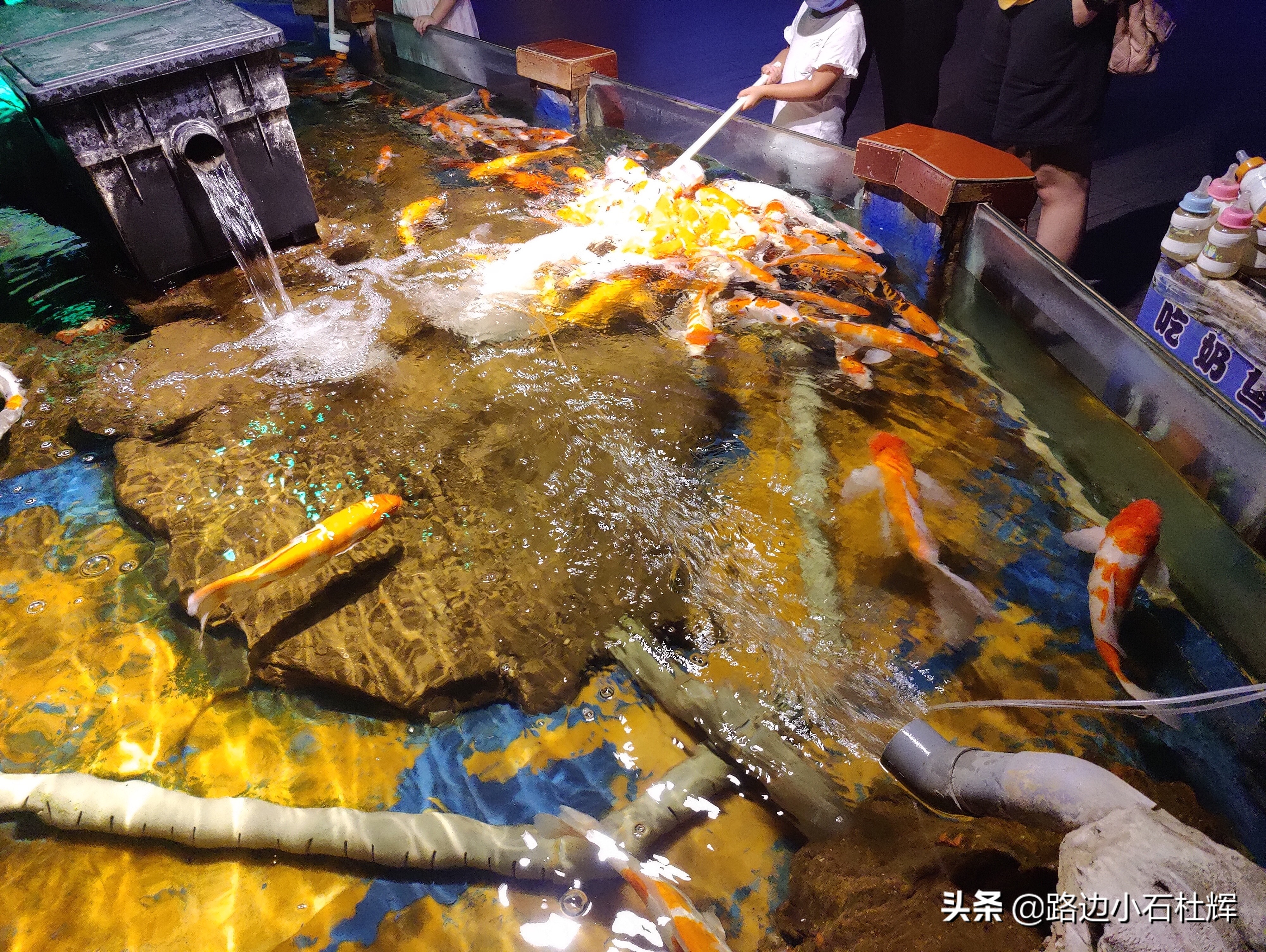 北京海洋馆海底世界和动物园攻略,游北京动物园海洋馆