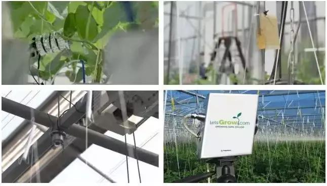 马化腾进军电商市场,腾讯马化腾下一步战略