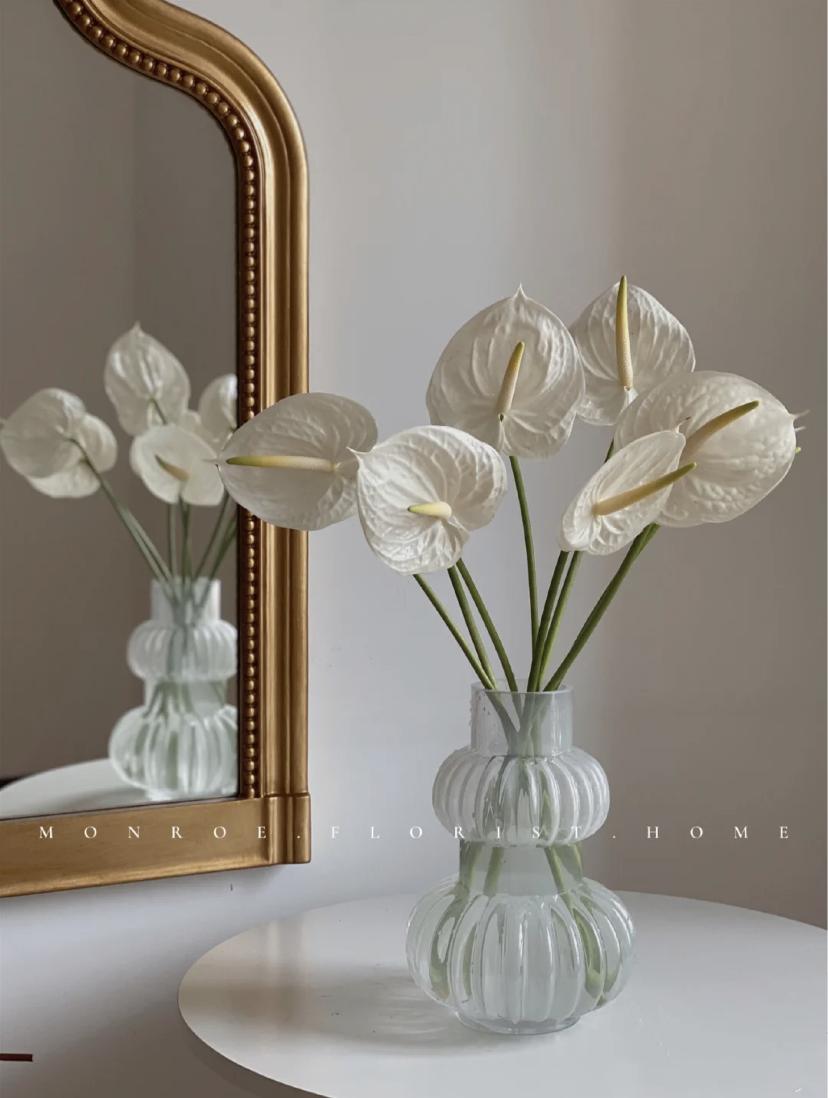 家里要有氛围感什么花比较好,家里高级的花