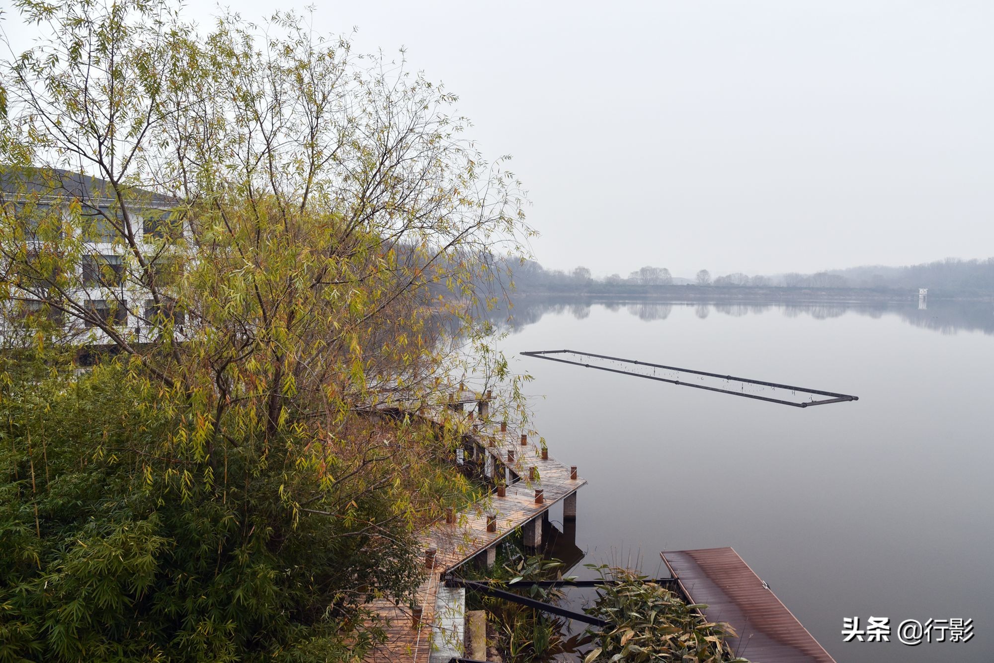 南京紫金山庄菜,南京紫金山庄钟山楼