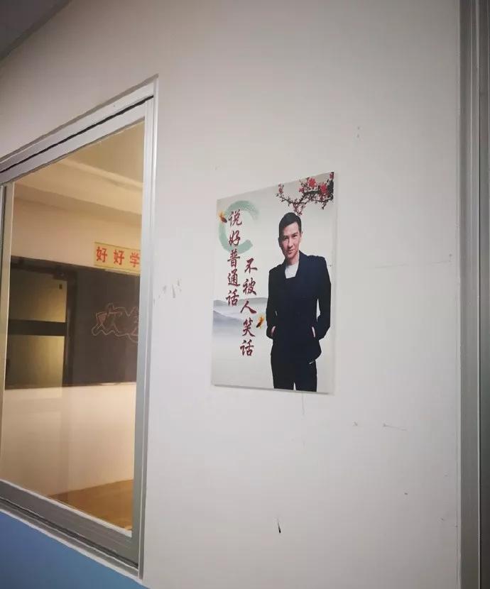 遇到蟑螂该怎么处理快速解决,捉到一只蟑螂怎么办