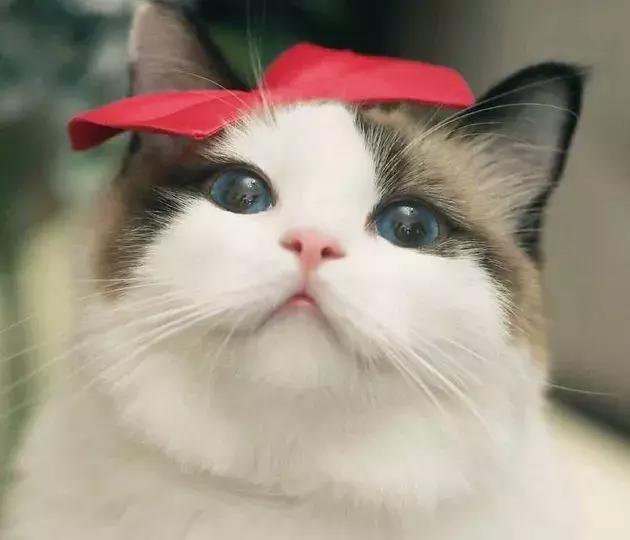 只要不停产会一直回购的化妆品,十大最不建议买的水乳