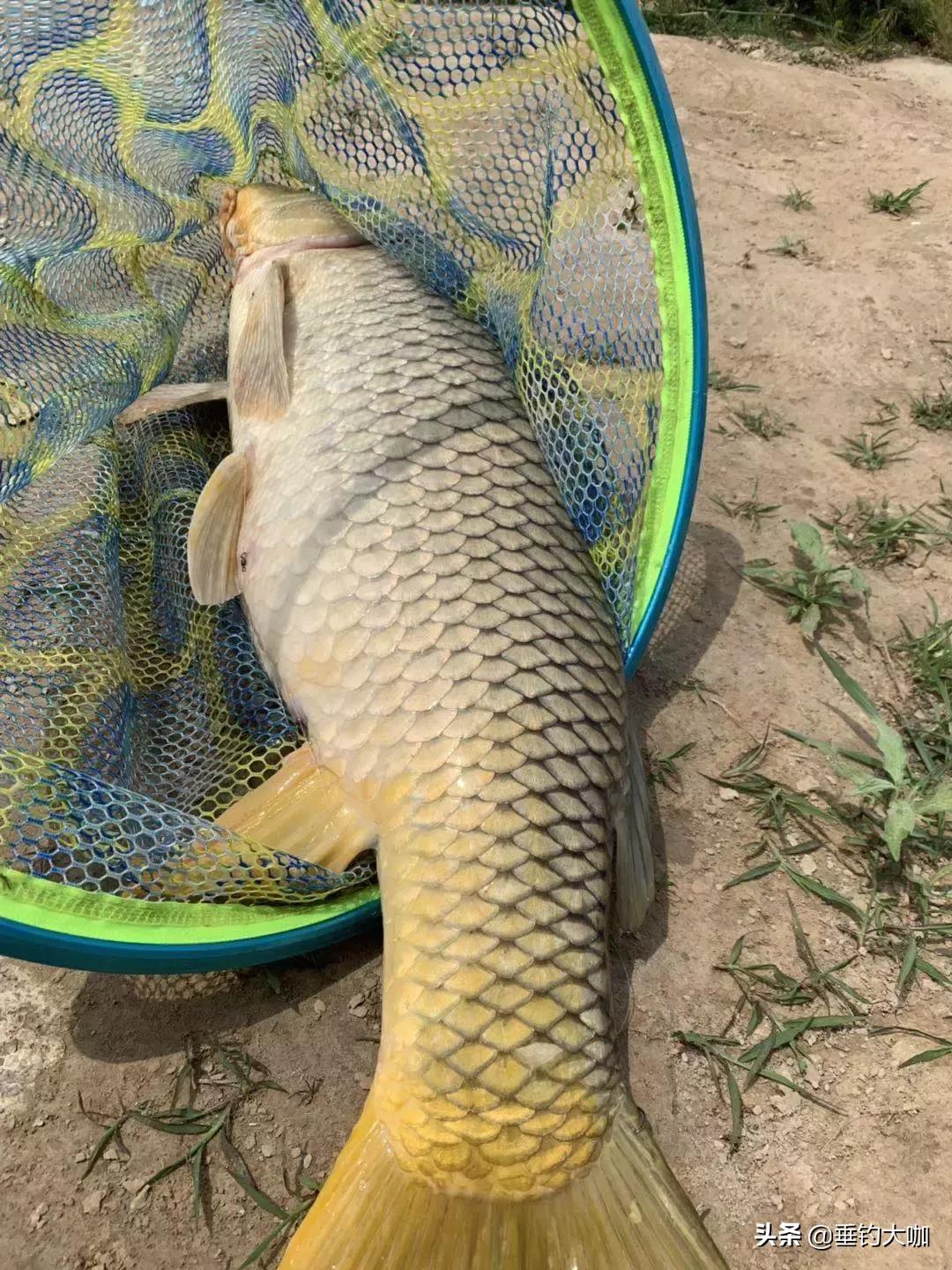 在家没事制作钓鱼浮漂,没事自己制作一根钓鱼竿