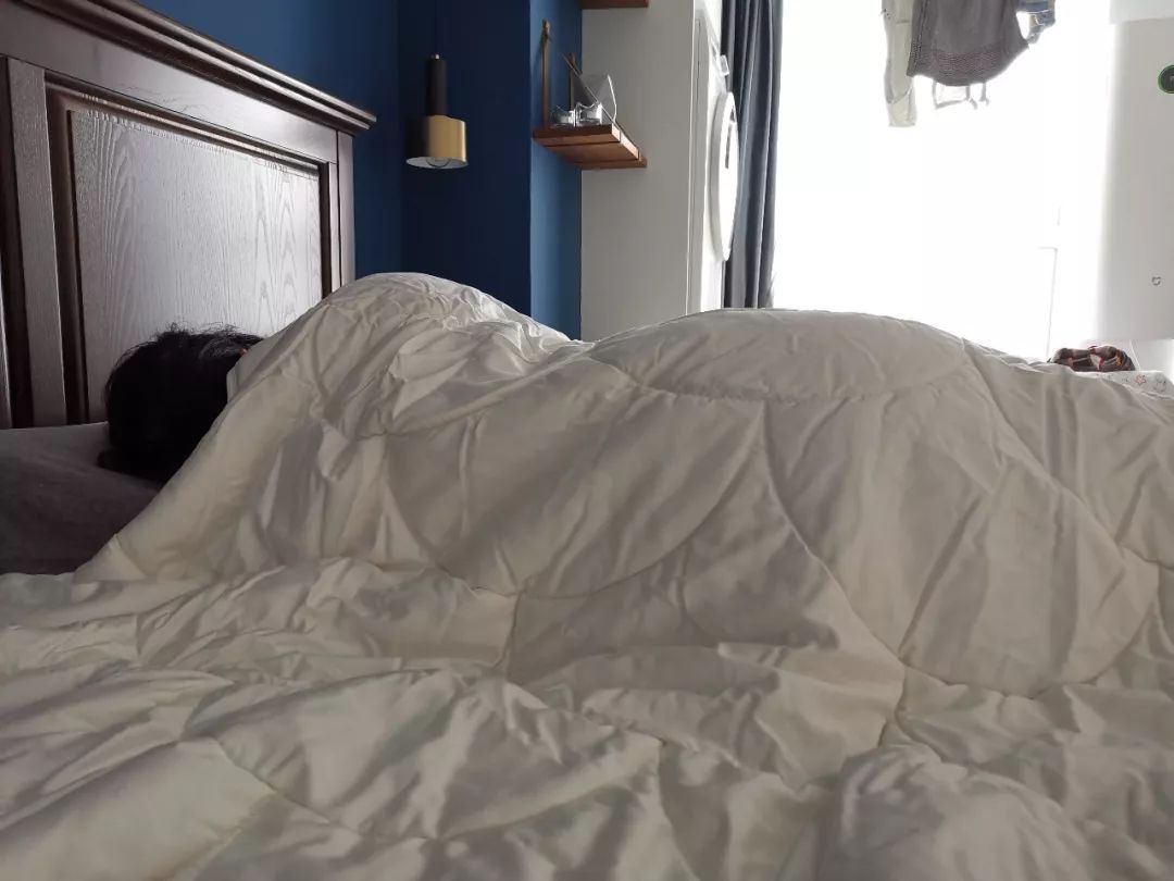 各种被芯的使用年限,各种被芯对比