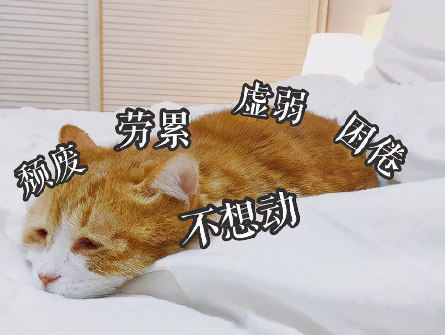 养心养肝养肺养肾养五脏,中医肾最怕什么