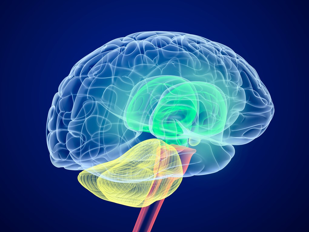 服用他汀类药注意事项,服用他汀注意事项及禁忌