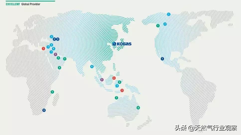 国内最大的lng供应商,中国最大的lng进口公司