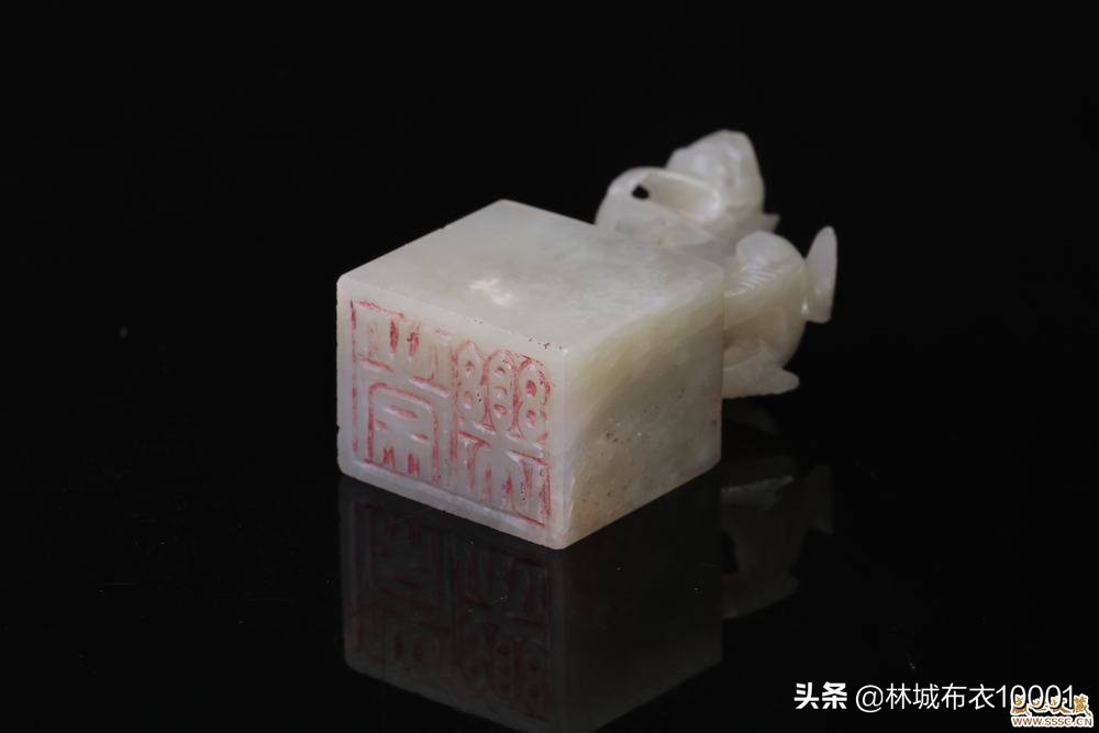 鱼腹中书君权神授,鱼腹之中能发现什么