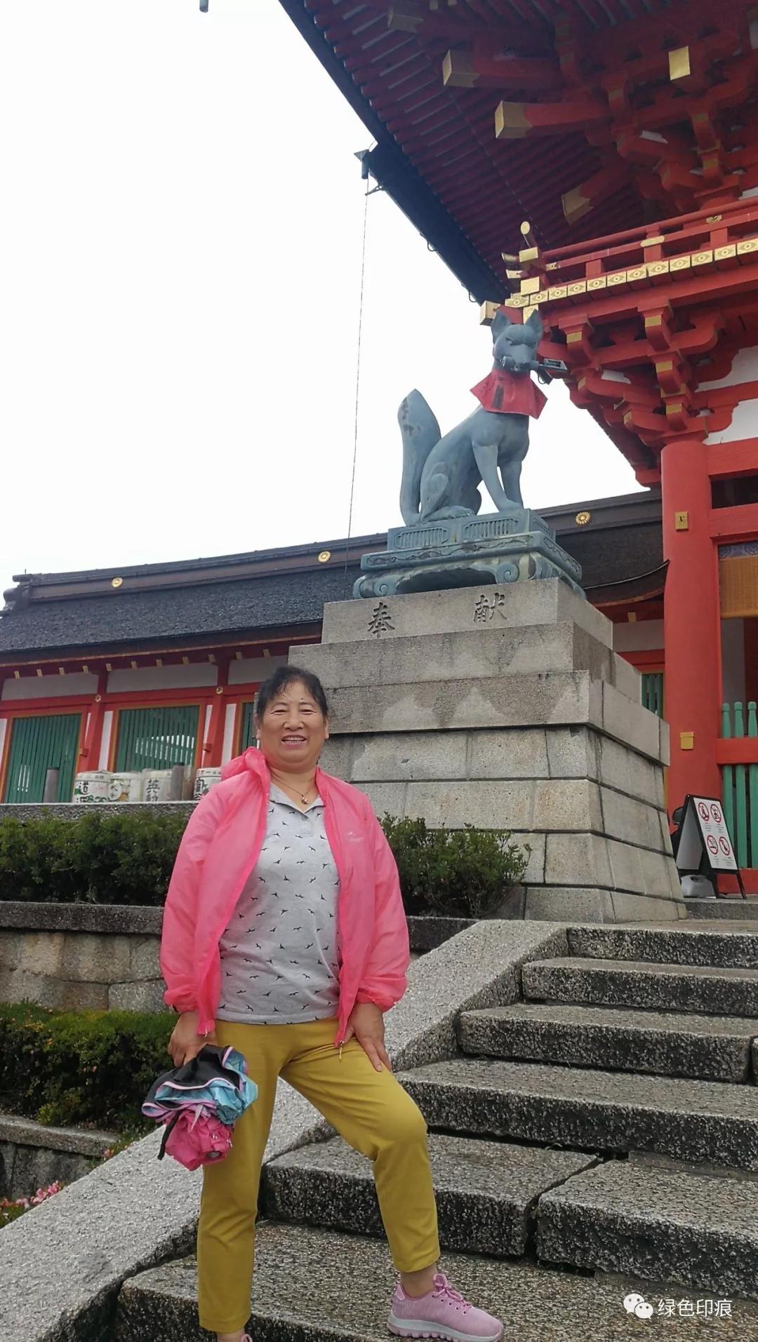 浼忚绋昏嵎澶хぞ鍗冩湰楦熷眳,浼忚绋昏嵎绁炵ぞ鍔ㄦ极鍙栨櫙