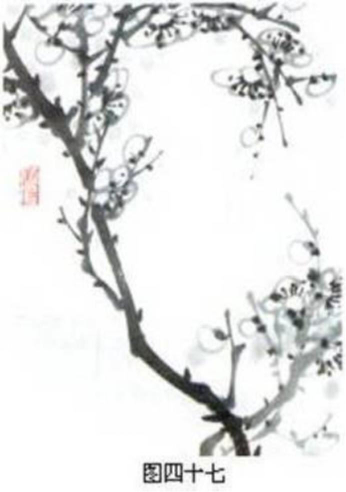 梅花画法简笔画,梅花画法的视频