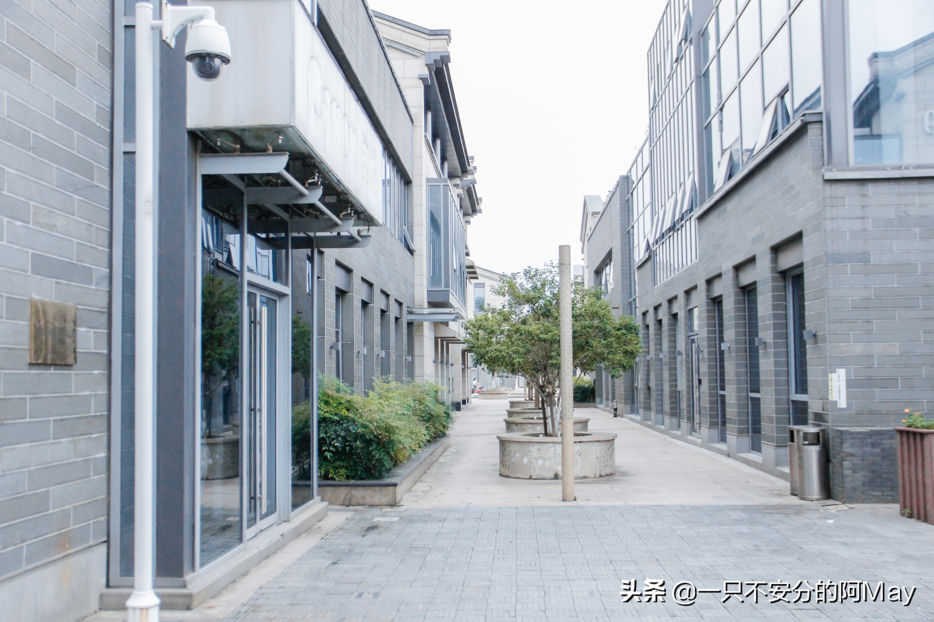 苏州婚纱批发市场哪里好,国内婚纱摄影有哪些门店