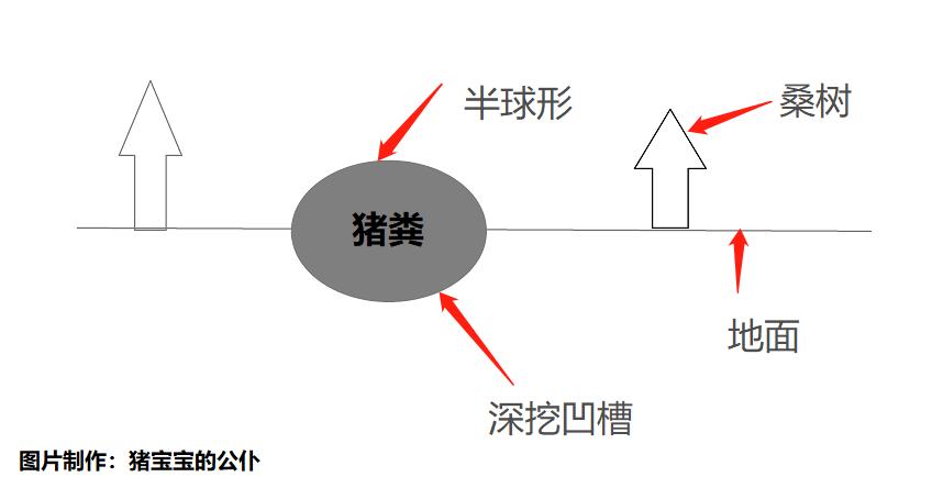 科学养猪猪粪处理,养猪猪粪沼气池处理流程