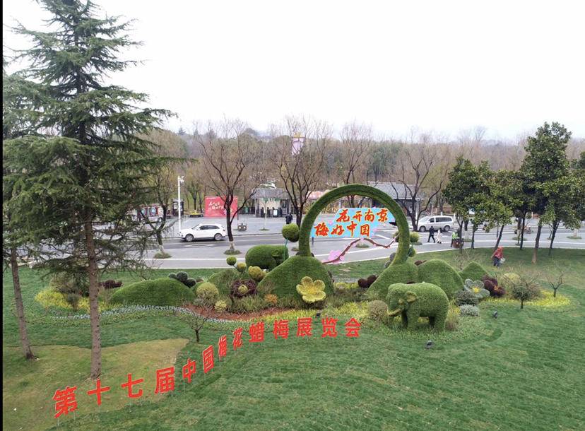 南京梅山和梅花山,南京梅花山第一梅山高清大图