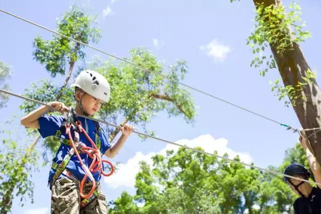 丛林探险乐园门票团购抖音,可拉熊丛林探险营地抖音团购