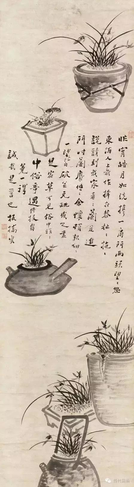 郑板桥画的是兰花还是兰草,郑板桥画的兰