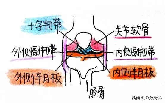 画说小哥哥膝盖疼是怎么回事？