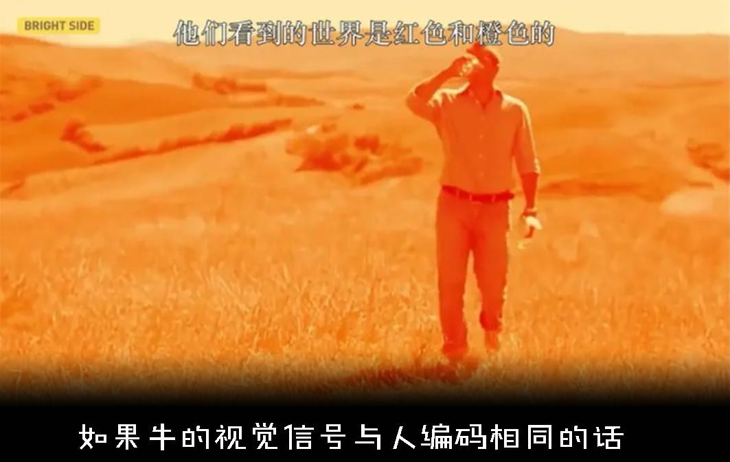 色盲悖论是什么，如何解释才能不留BUG？带你深入认识色盲