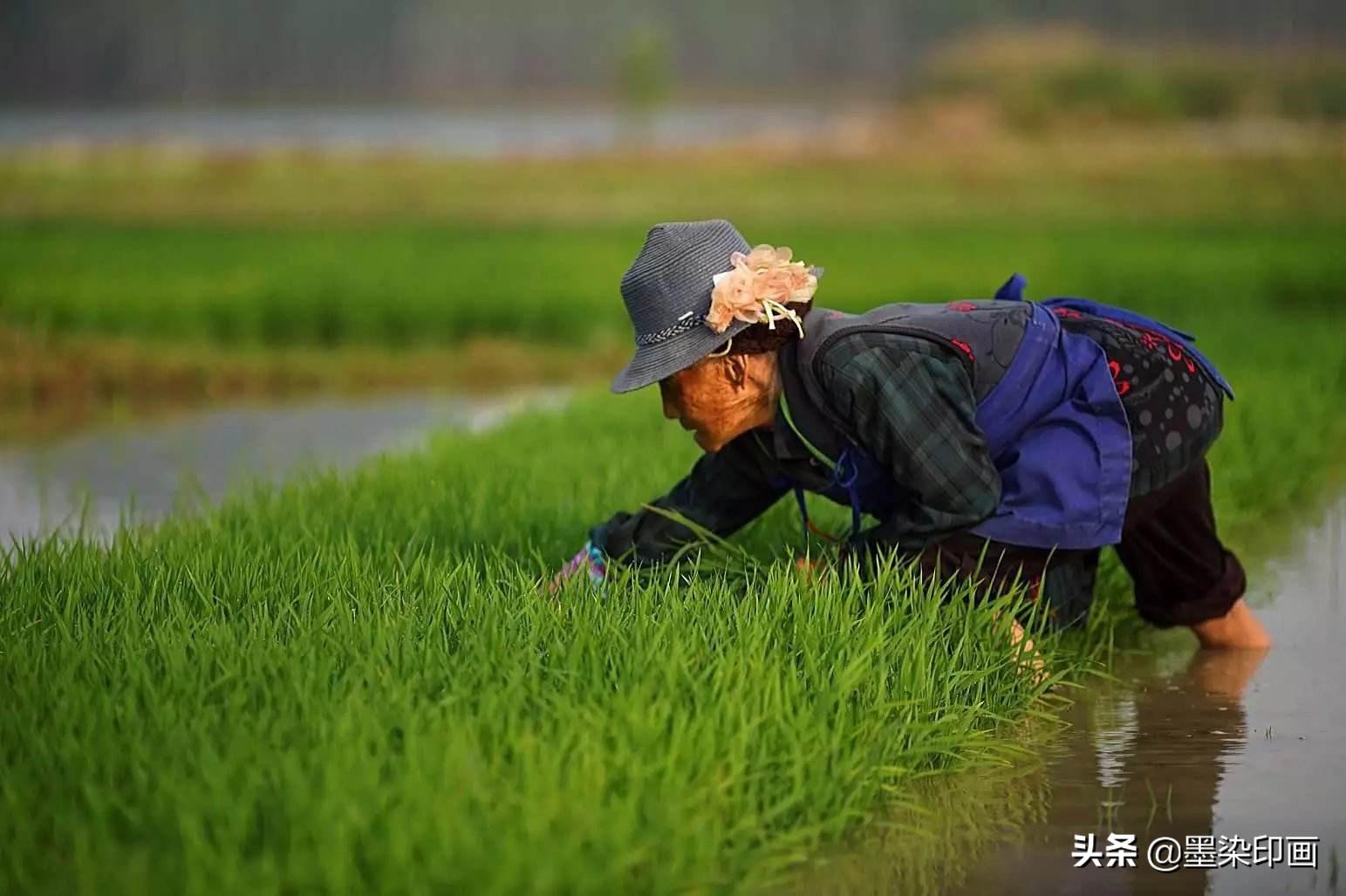 清明节拍摄风景图片,清明节全家踏青照片如何拍摄