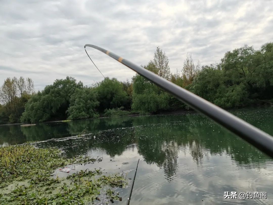 比较好的综合钓鱼竿,最好用的几款钓鱼竿推荐